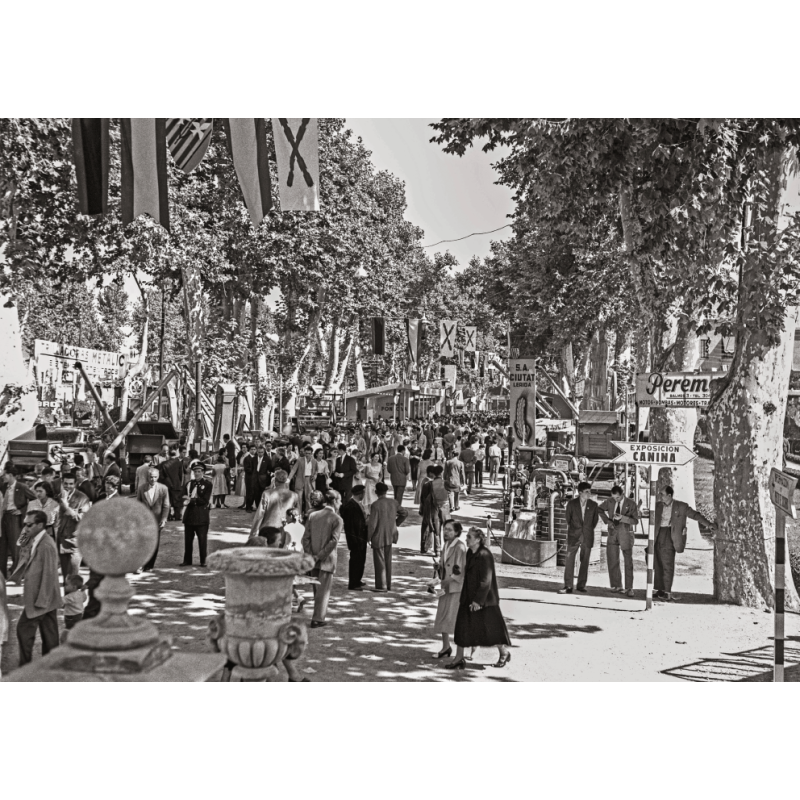 FIESTAS Y TRADICIONES DE LÉRIDA
