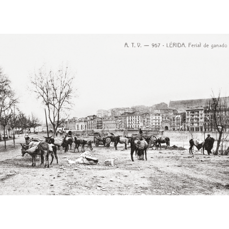 FIESTAS Y TRADICIONES DE LÉRIDA