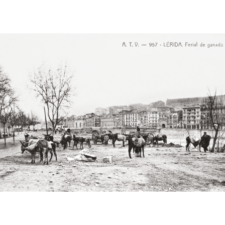 FIESTAS Y TRADICIONES DE LÉRIDA