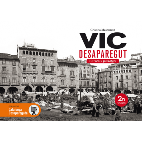 Vic desaparecido 2