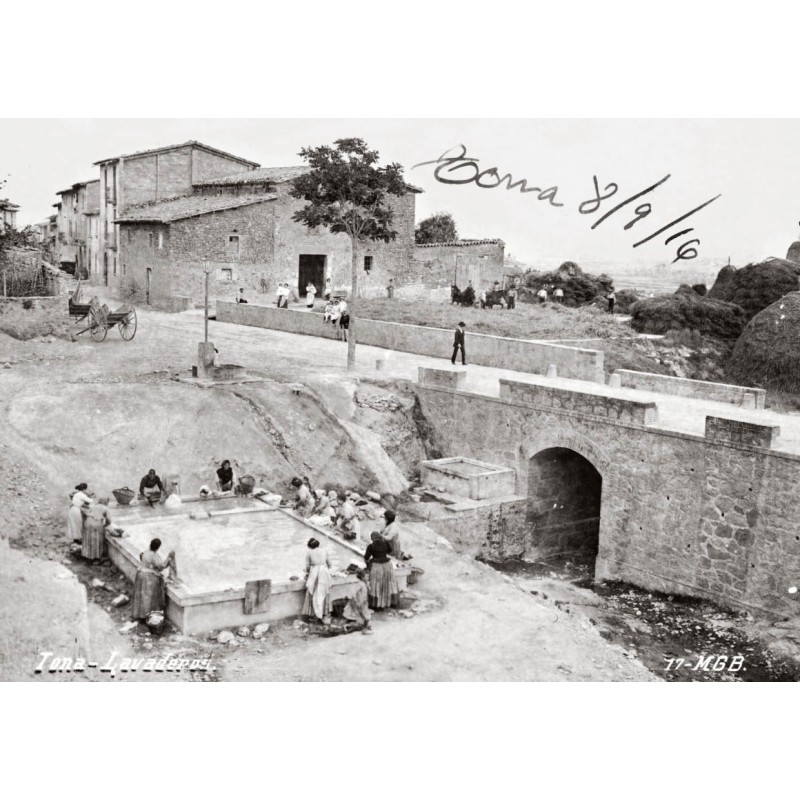 Tona desaparecida