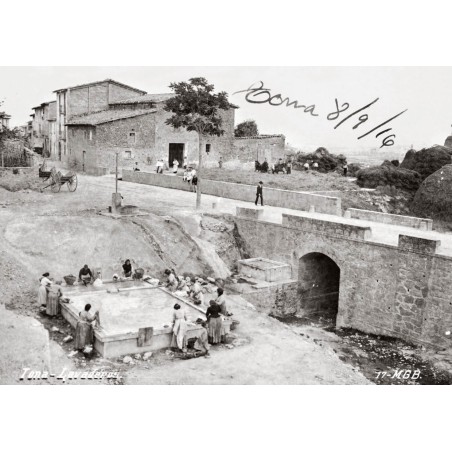 Tona desaparecida