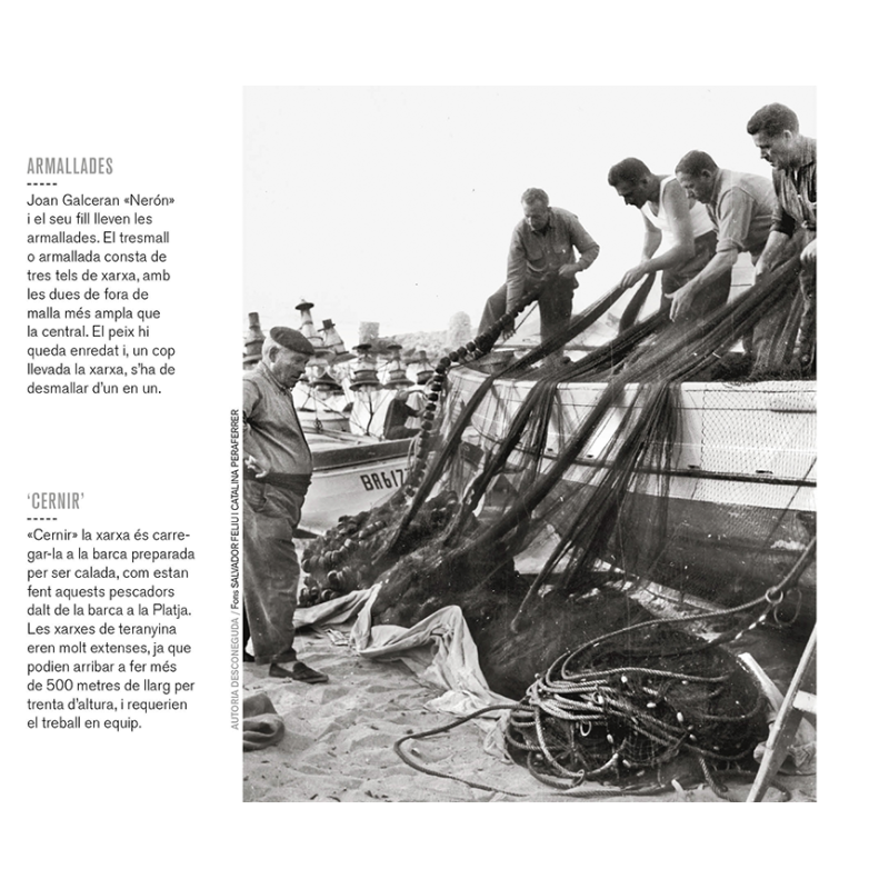 LA ESCALA DESAPARECIDA
