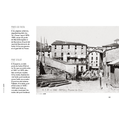 Ripoll desaparegut
