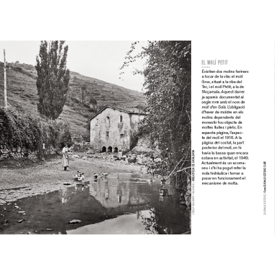 Sant Joan de les Abadesses desaparegut