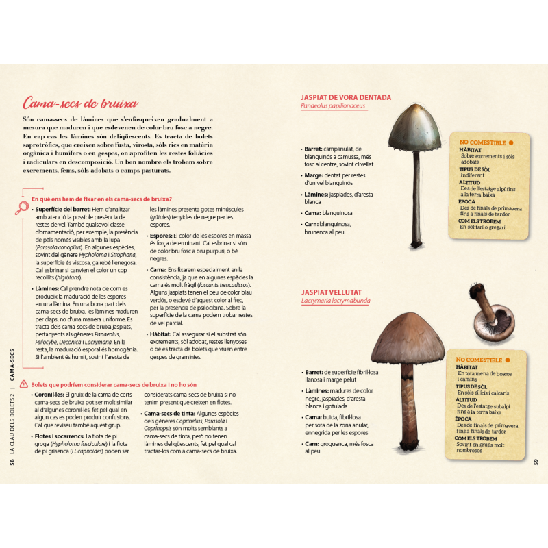 La clau dels bolets (Volum 2)