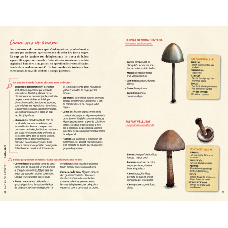 La clau dels bolets (Volum 2)