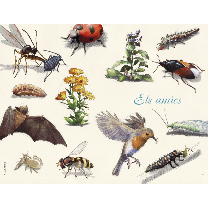 Malalties i plagues de l'hort