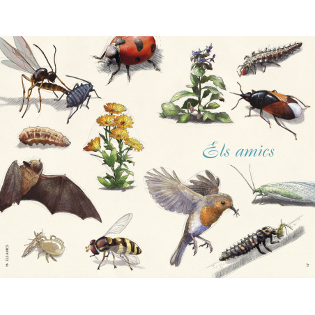 Malalties i plagues de l'hort