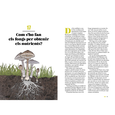 101 curiositats dels bolets