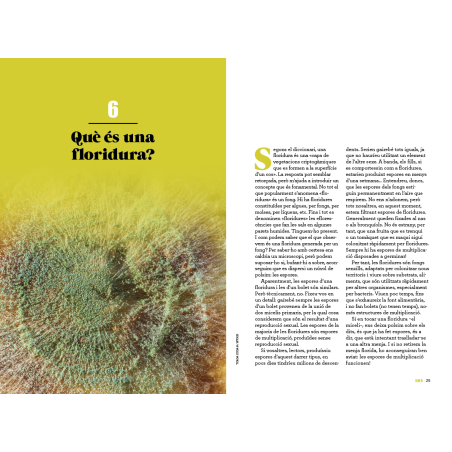 101 curiositats dels bolets