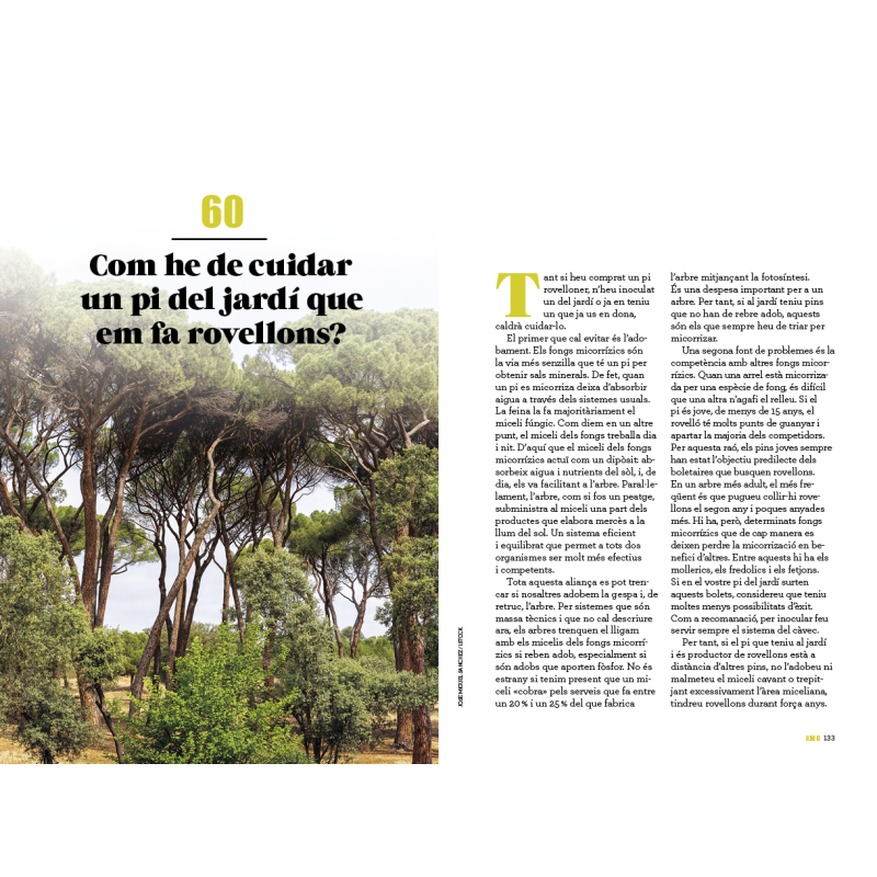 101 curiositats dels bolets