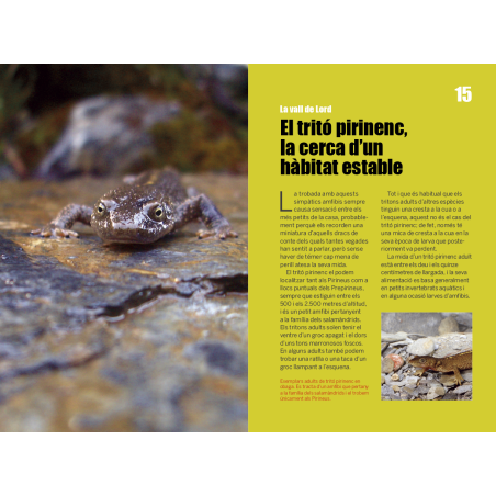 101 ANÈCDOTES DE LA RIBA DEL CARDENER