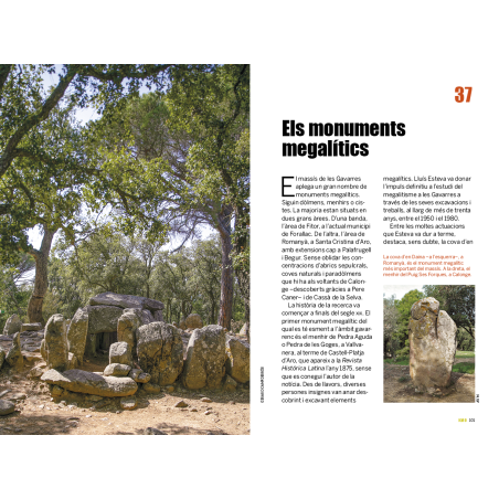 101 CURIOSITATS DE LES GAVARRES