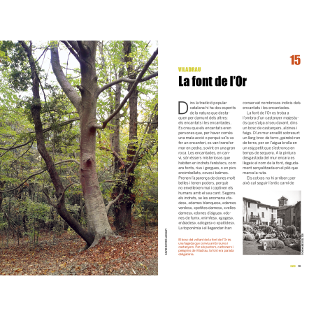 101 CURIOSITATS DE LA PLANA DE VIC