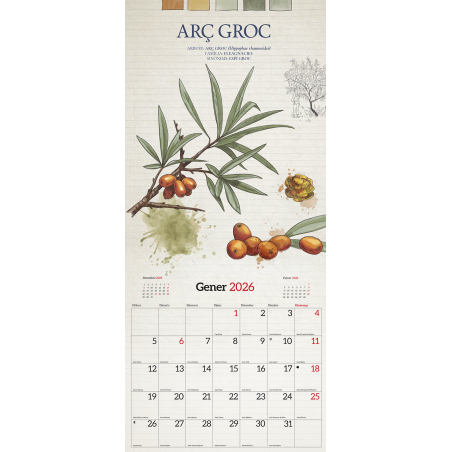 CALENDARI FRUITS DEL BOSC 2026