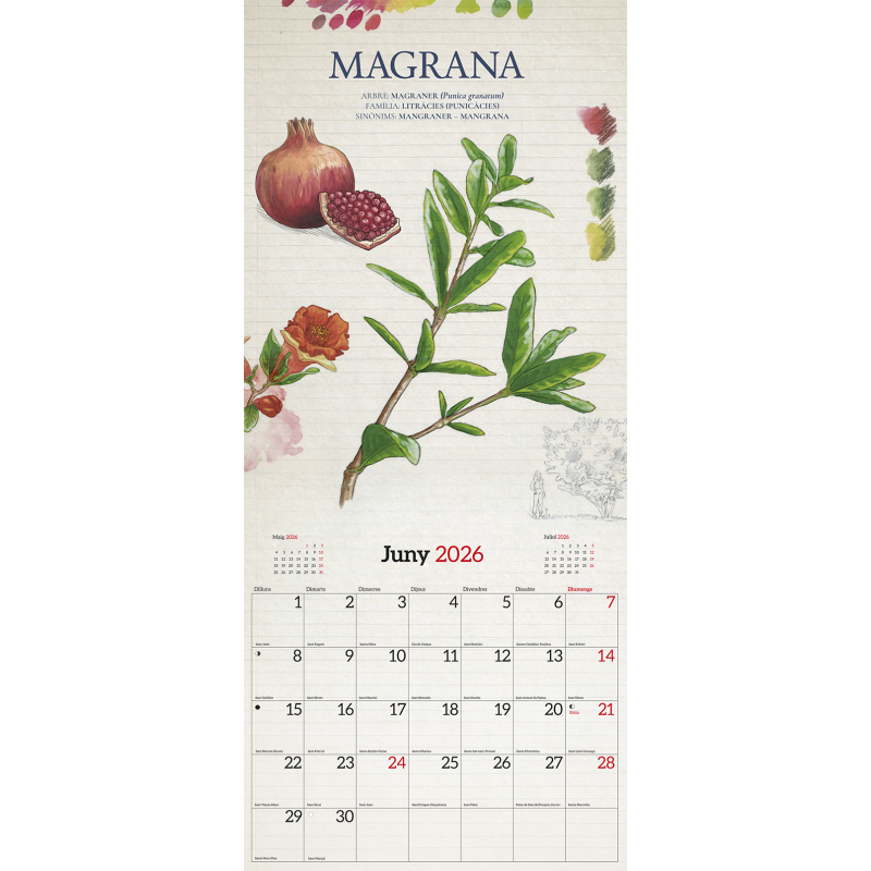 CALENDARI FRUITS DEL BOSC 2026