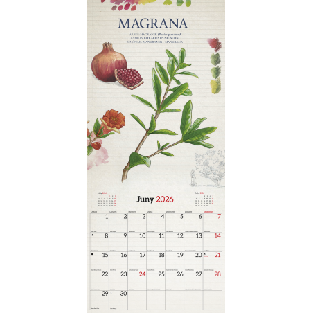 CALENDARI FRUITS DEL BOSC 2026