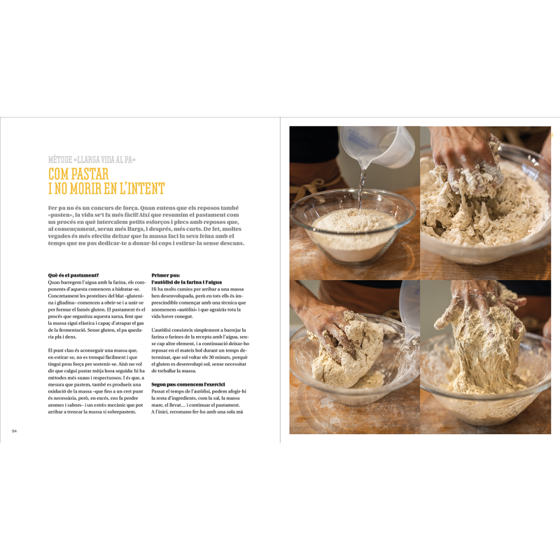 Llarga vida al pa – Carbohidrats saludables | Efadós