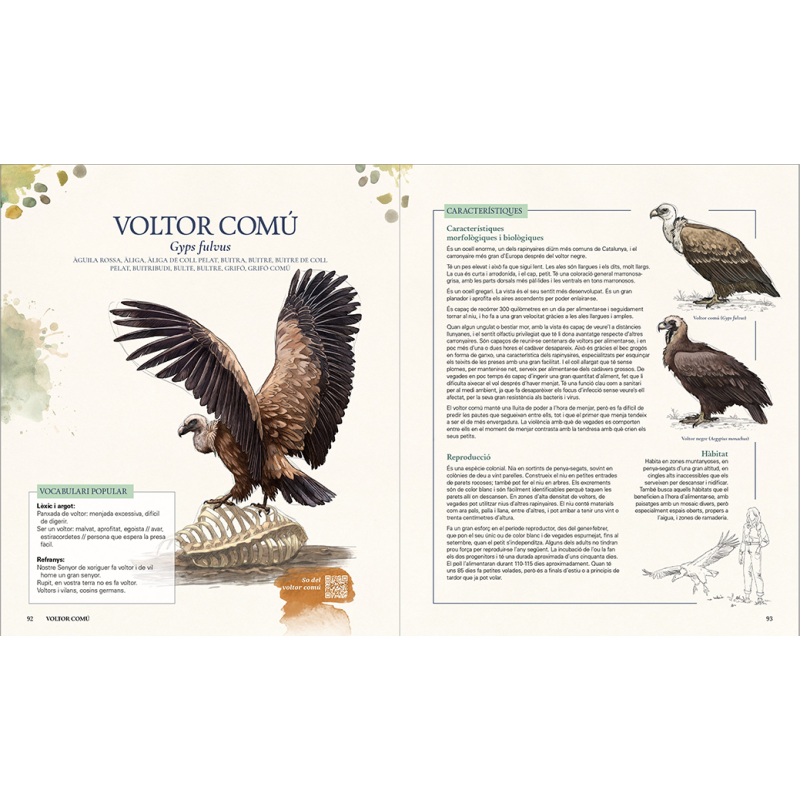 GRANS OCELLS DELS PAÏSOS CATALANS