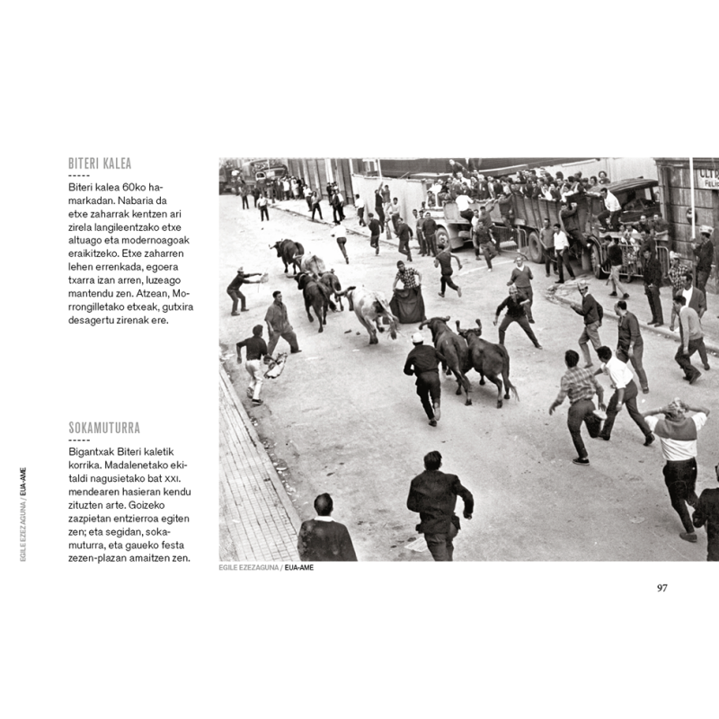 DESAGERTUTAKO ERRENTERIA