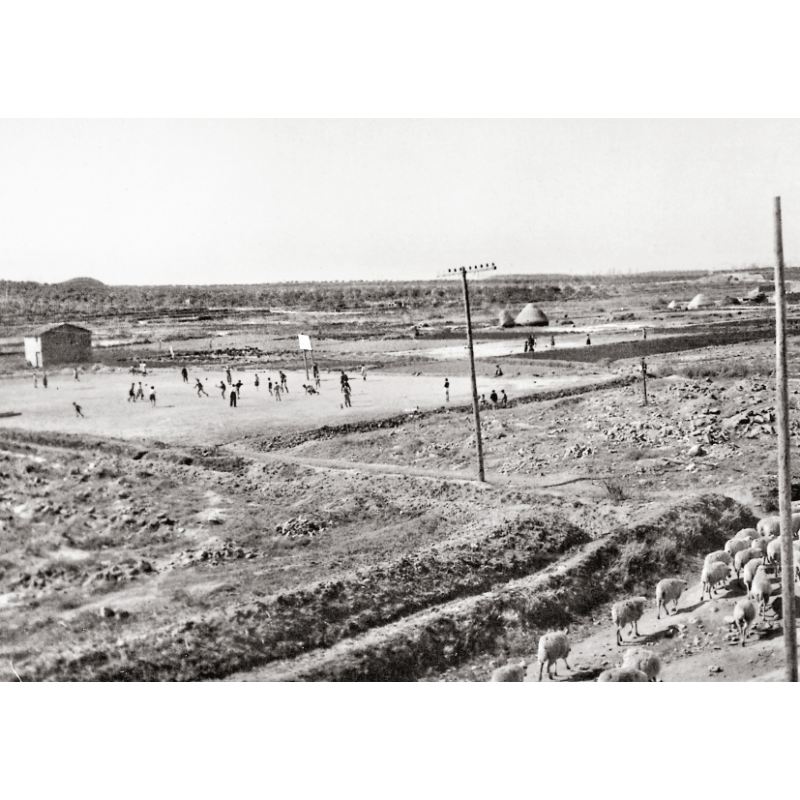 ALMACELLES DESAPAREGUT