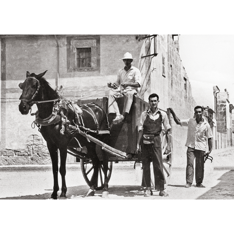 LLUCMAJOR DESAPAREGUT