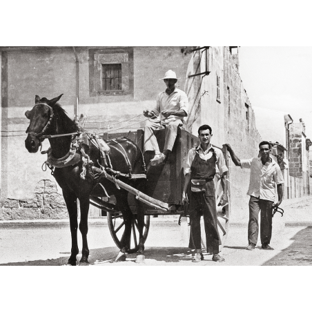 LLUCMAJOR DESAPAREGUT