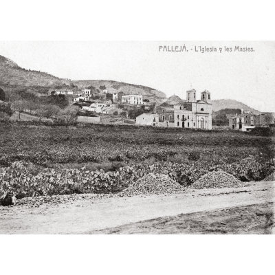 PALLEJÀ DESAPAREGUT