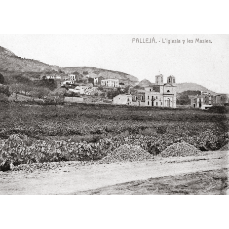 PALLEJÀ DESAPAREGUT