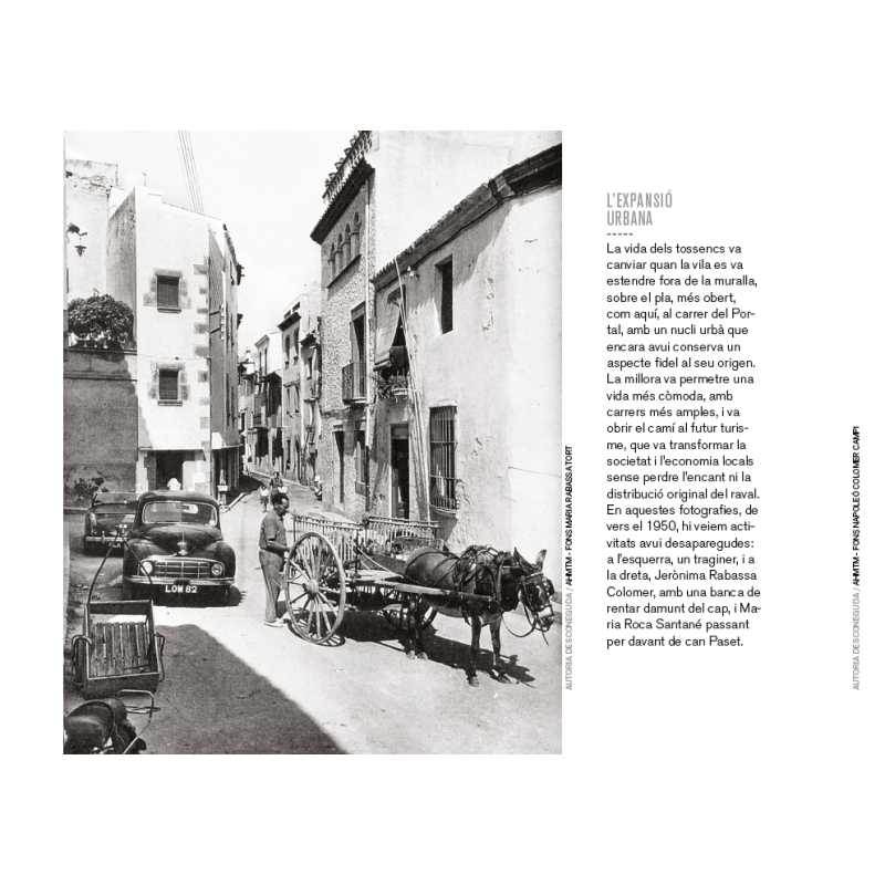 TOSSA DE MAR DESAPAREGUDA