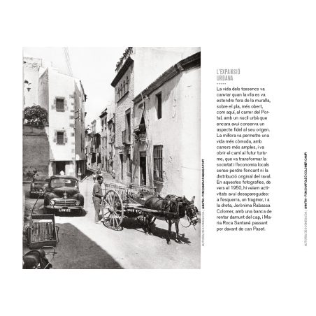 TOSSA DE MAR DESAPAREGUDA