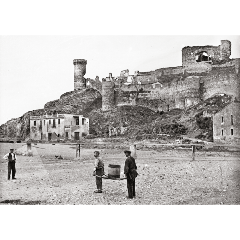 TOSSA DE MAR DESAPAREGUDA