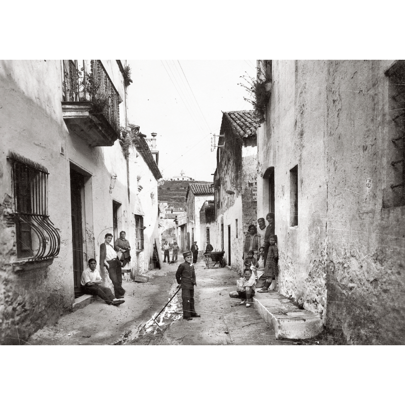 TOSSA DE MAR DESAPAREGUDA