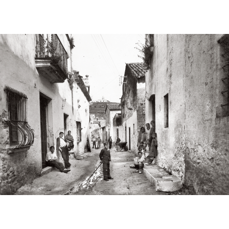 TOSSA DE MAR DESAPAREGUDA