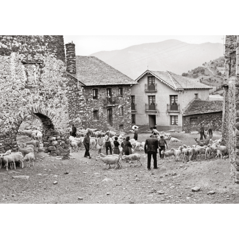 LES VALLS D’ÀNEU DESAPAREGUDES