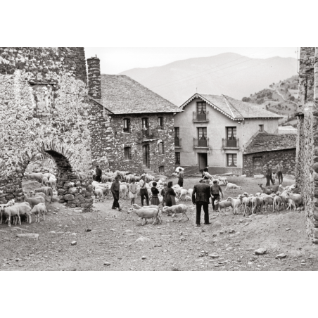 LES VALLS D’ÀNEU DESAPAREGUDES