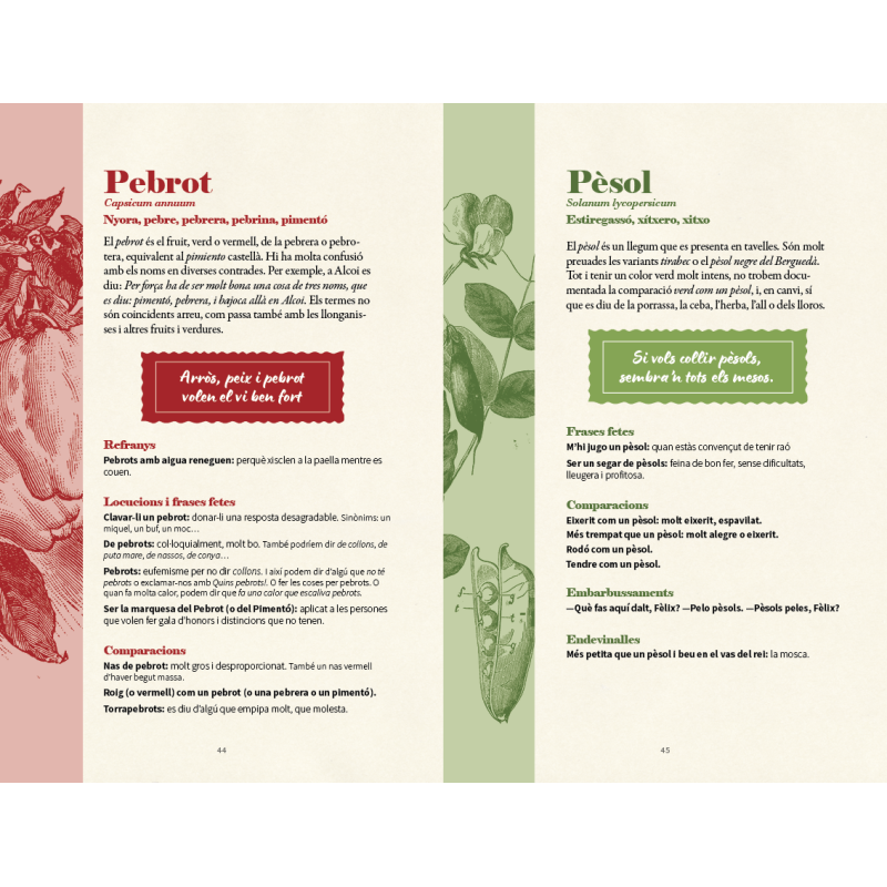 ALLS, CEBES I REFRANYS