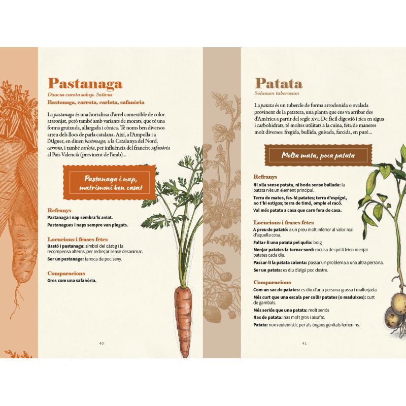 ALLS, CEBES I REFRANYS