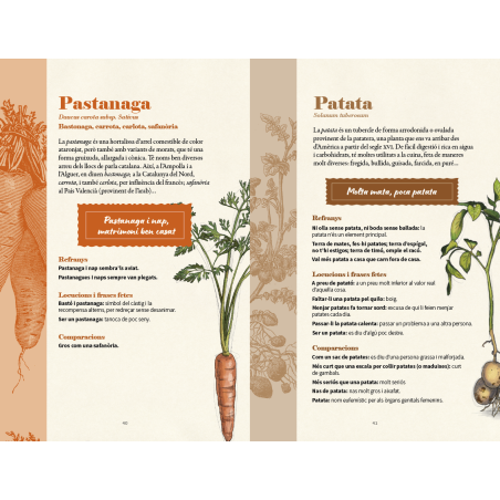 ALLS, CEBES I REFRANYS