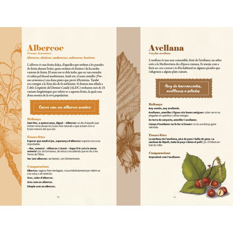 ALLS, CEBES I REFRANYS