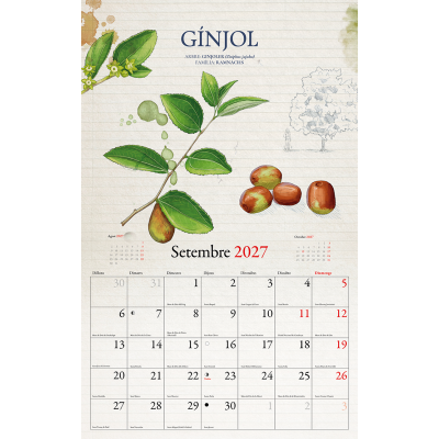 CALENDARI FRUITS DEL BOSC 2027