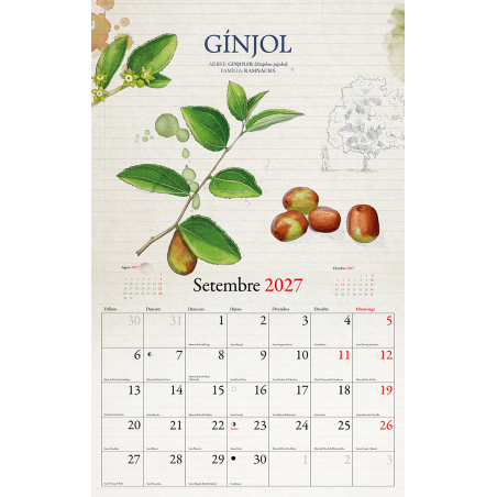 CALENDARIO FRUTOS DEL BOSQUE 2027