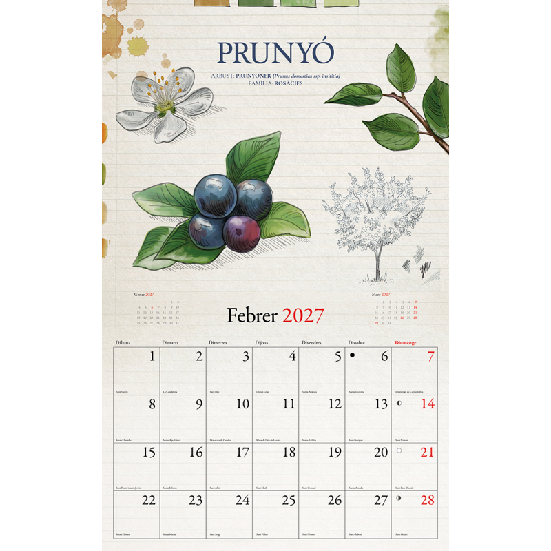 CALENDARIO FRUTOS DEL BOSQUE 2027