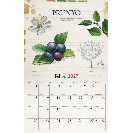 CALENDARI FRUITS DEL BOSC 2027